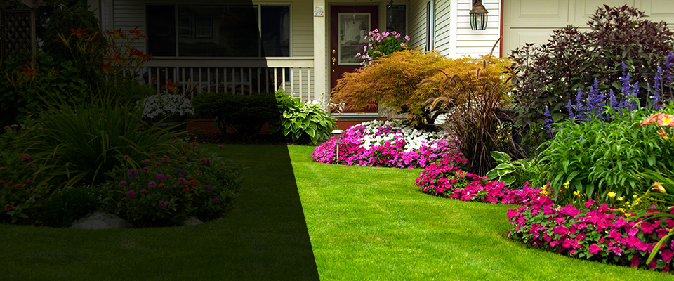 Dora Landscapers